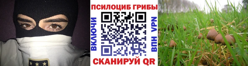 hydra ссылки  что такое наркотик  Прокопьевск  Галлюциногенные грибы MAGIC MUSHROOMS 